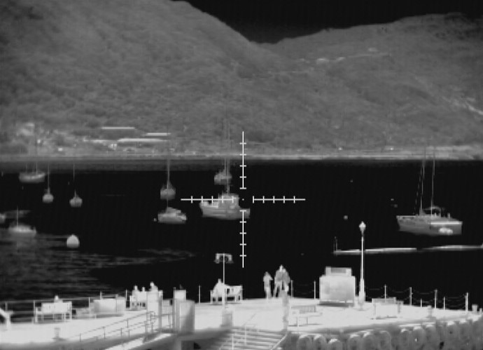 Thermal Image of Port Security