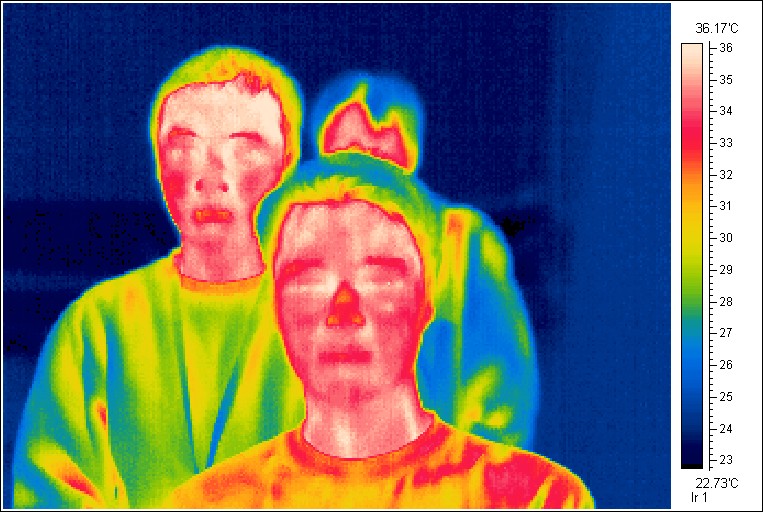 Thermal Imaging and Fever Detection 