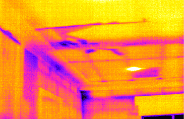 Building Thermography Survey Ceiling